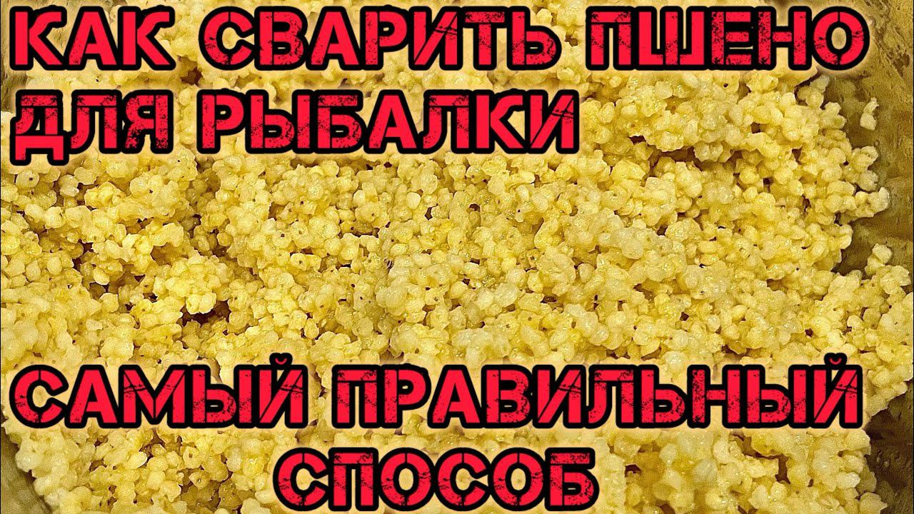КАК ПРАВИЛЬНО СВАРИТЬ ПШЕНО для РЫБАЛКИ? САМЫЙ ПРАВИЛЬНЫЙ СПОСОБ!