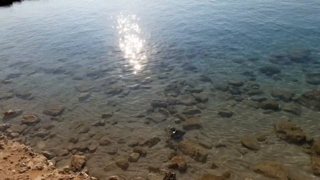 Кипр июнь 2021 отели Adelais и Cavo Maris: как, куда и зачем приехали? смотреть онлайн