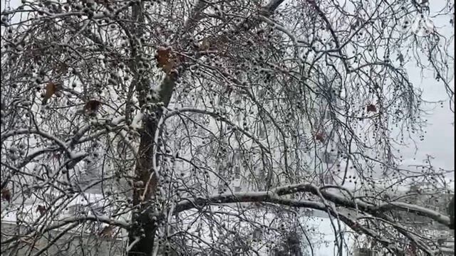 ЯЛТА СЕГОДНЯ, МОЩНЫЙ СНЕГОПАД В ЯЛТЕ, 22 ДЕКАБРЯ 2021 г., -4°С. КРЫМ. CRIMEA TODAY, YALTA TODAY. смотреть онлайн