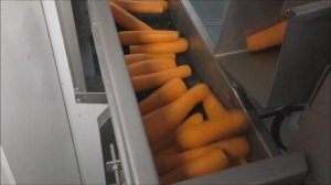 Линия для предпродажной очистки, мойки моркови Sormac