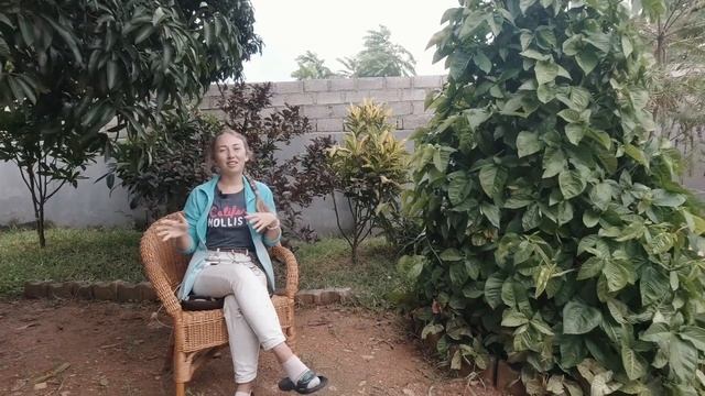 Выводы, советы для путешествия по Эфиопии, Африка смотреть онлайн