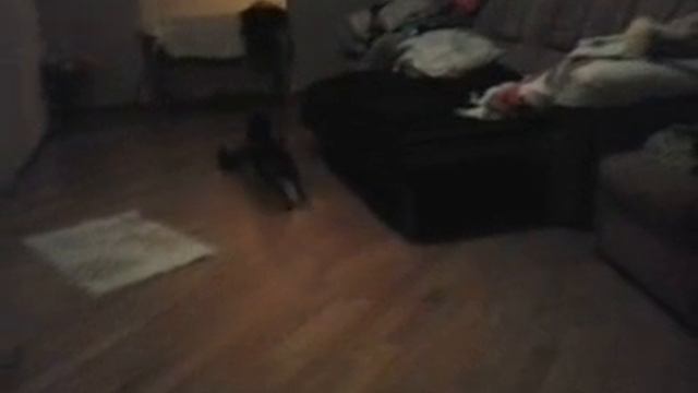 video 2015 11 17 18 04 58 смотреть онлайн