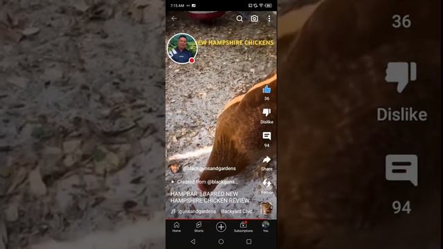 PROMOTE YOUR CHANNEL LIVE STREAM UPDATE ??❤️? смотреть онлайн