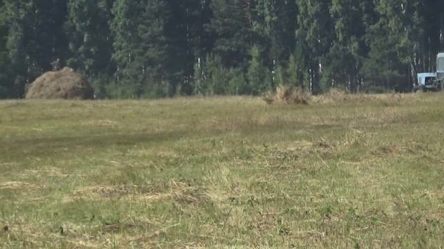 Володя Васильев мечет сено. 1 часть. смотреть онлайн