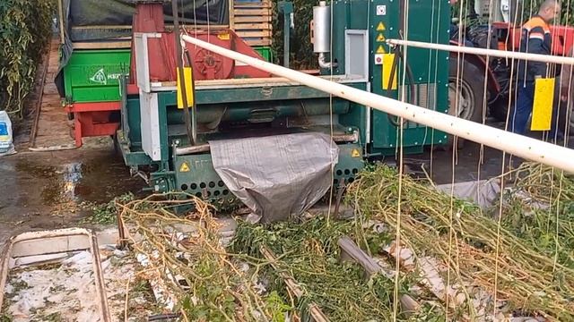 Измельчитель БИО массы, дробилка растений в теплице, измельчение сельхоз. культур. Bio Chopper. смотреть онлайн