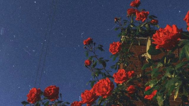 Love Letter- Payton (8D) смотреть онлайн