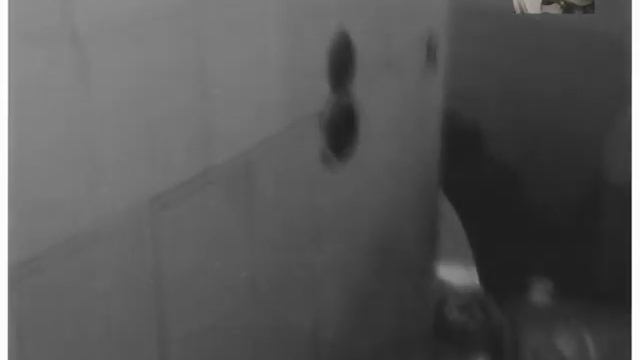 Харьковская обл. 1967год. Источники здоровья смотреть онлайн