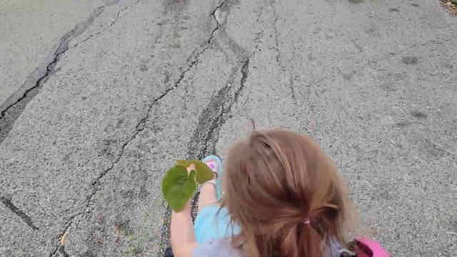 Riding stroller down a hill смотреть онлайн