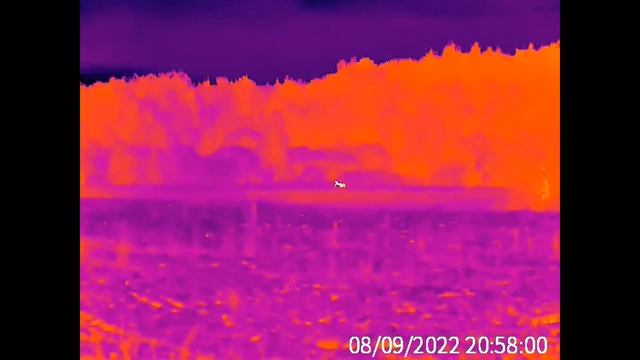 GUIDE TK631 тепловизионный монокуляр с матрицей 640х480 пикселей смотреть онлайн