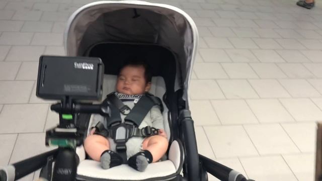 UPPABABY CRUZ WOBBLING - October 11, 2017 смотреть онлайн