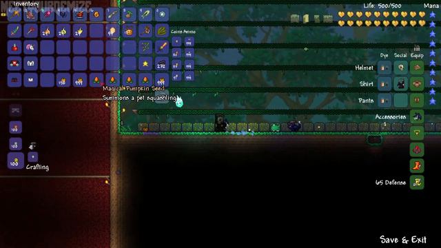 Terraria 1.2.1: How to get the Squashling Pet! (Magical Pumpkin Seed Summoning Item) @demizegg смотреть онлайн