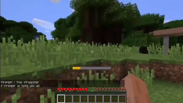 Связывание и похищение игроков РАСПУТНЫМИ девушками в Майнкрафт смотреть онлайн