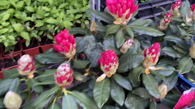 Выставка в ВЦ Евразия, С-Петербург, с 1-5 июня 2021 смотреть онлайн