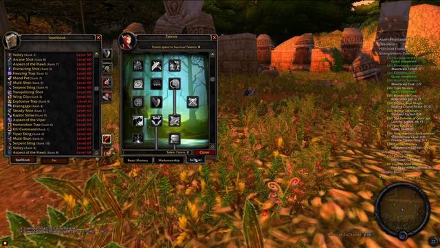 Level 1 to 70 | WORLD OF WARCRAFT | TBC Classic | Blood Elf Hunter ► Part 53 смотреть онлайн