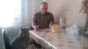 Лечебная медовая лепешка.