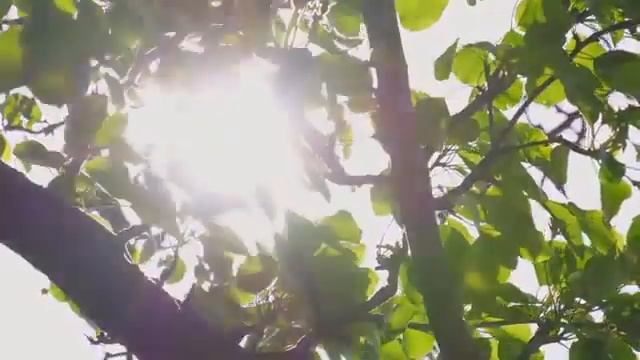 Musica Para Dormir, Musica Para Estudar, Musica Para Relaxar, Musica Para Meditar