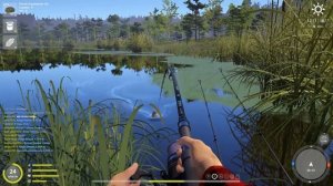 Где и на что клюет амур? Смотри самые лучшие точки старого острога. Русская рыбалка 4.