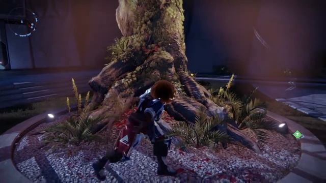 Destiny танцующая тыква смотреть онлайн