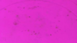 Учимся паять. Урок по пайке. Как выпаять микросхему? How To Desolder Electronic Parts