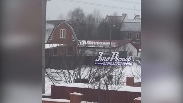 На улице Орбитальной в Ростове увидели диких кабанов смотреть онлайн