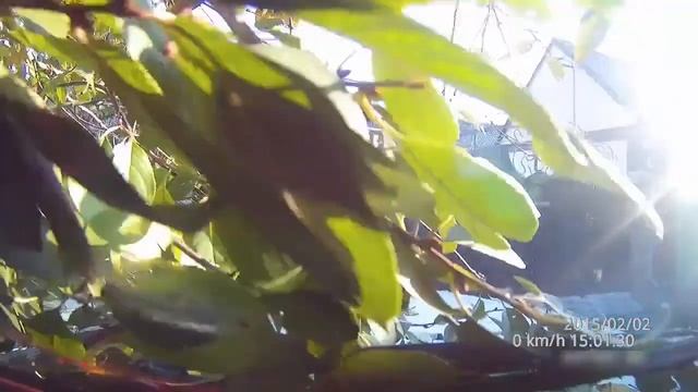 Как загнать машину смотреть онлайн