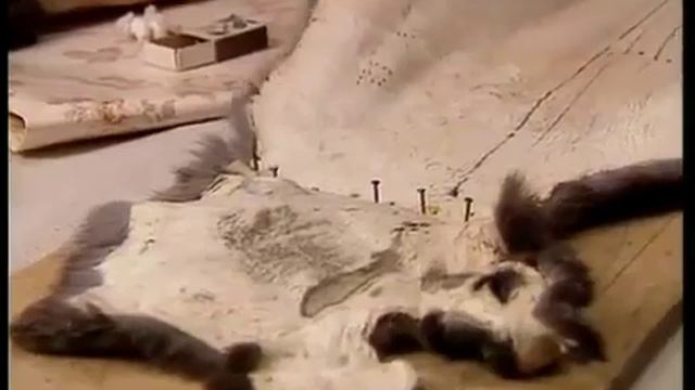 кролиководство это бизнес 5 смотреть онлайн