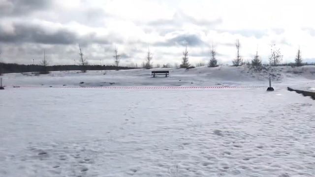 Расположение секторов на кубок Альготек смотреть онлайн