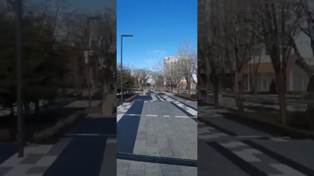 Обзор Парка им. Фрунзе после реконструкции смотреть онлайн