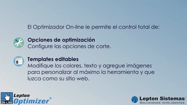 Lepton Optimizer Online смотреть онлайн
