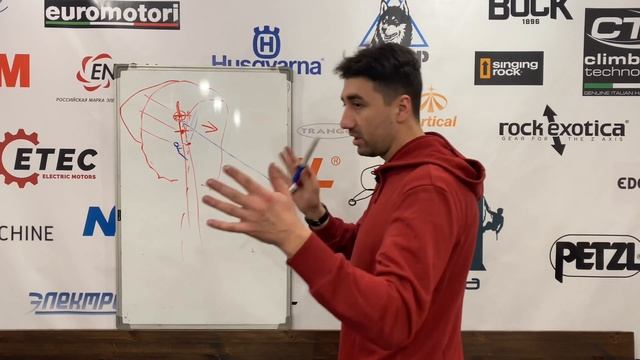 Правильное удаление макушки дерева смотреть онлайн