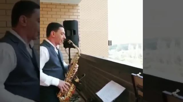 davekoz смотреть онлайн