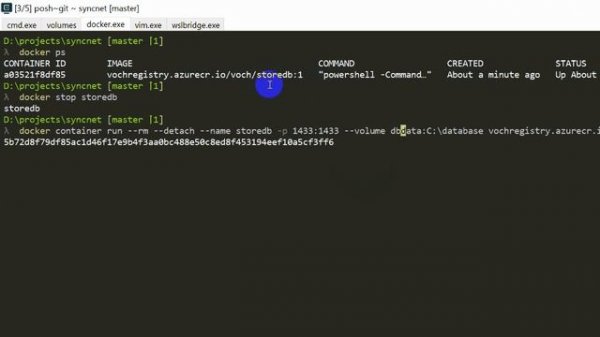 Владимир Чмуж, “Усовершенствование CI/CD процесса для MS SQL Server при помощи Docker”