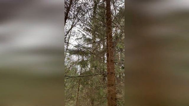 Поиски потерянного F11s 4K PRO смотреть онлайн