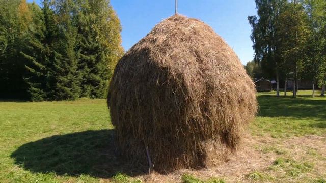 Малые Корелы. Деревни Поморья прошлых веков. Архангельская область. смотреть онлайн
