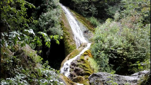 ЭШ 343 - Подарки отцу смотреть онлайн