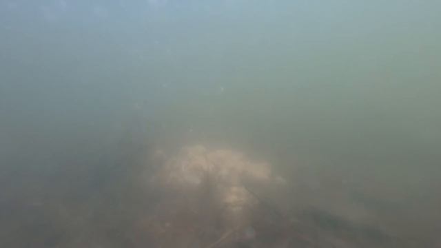 ЛОВЛЯ КАРПА ОСЕНЬЮ! ПВА СТИК ОТ MR.Carpyatnik! Закрытие карпового сезона 2020! смотреть онлайн