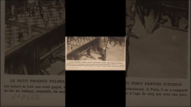 Проиграл их все - Мем про 8-летнего Решевского - правда или нет? смотреть онлайн