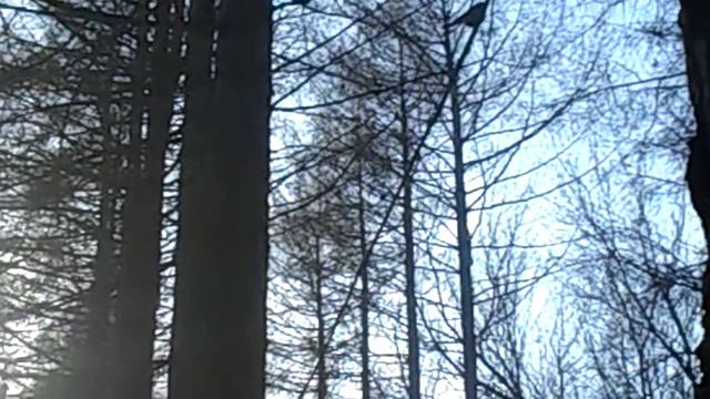 Рука дающая)) смотреть онлайн