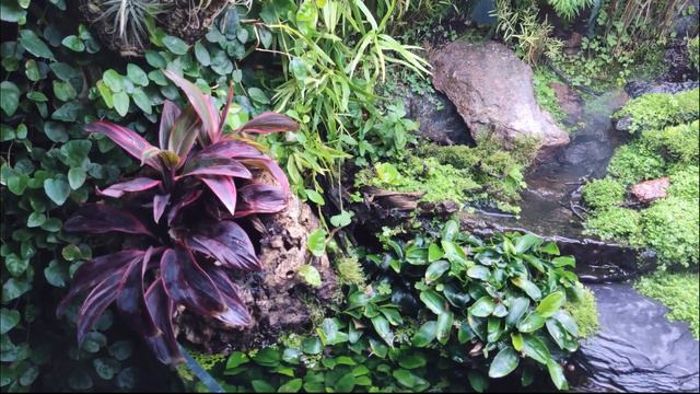 Neon Ravine - waterfall paludarium (September 2020) смотреть онлайн