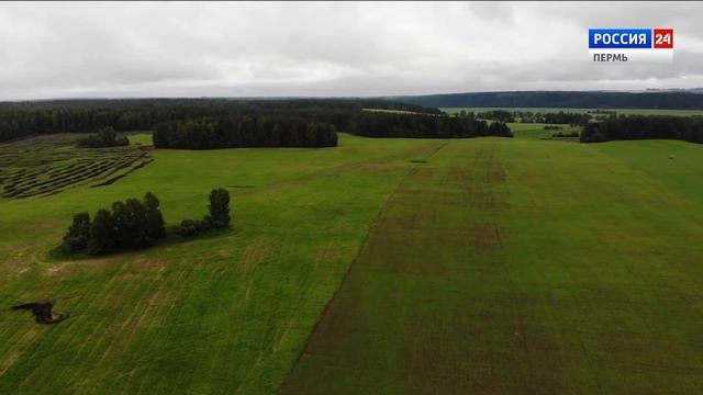 В центре внимания. СПК Кинделино смотреть онлайн