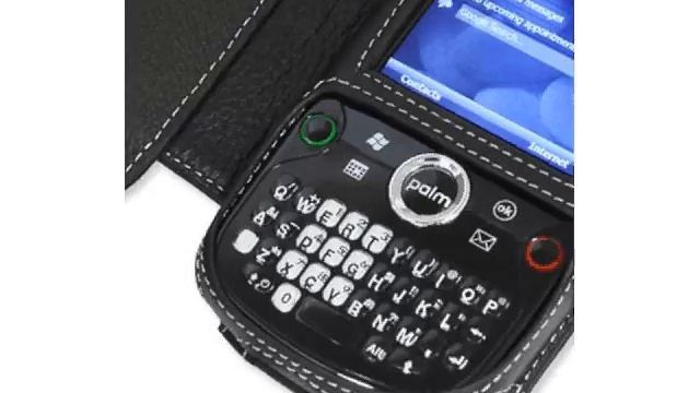 Carrymobile Leather Case for Palm Treo Pro - Book Tpye (Black) смотреть онлайн