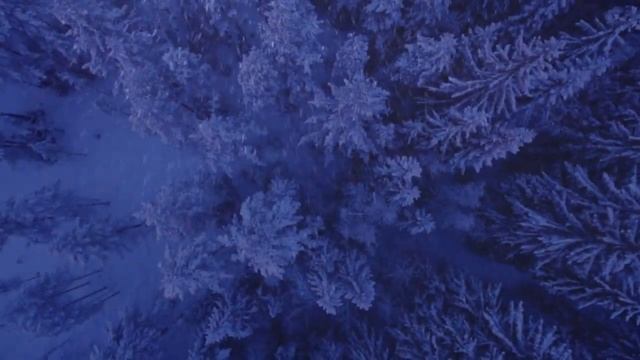 Стихи Натальи Садиковой