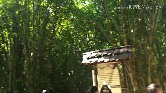 Umphang - Thi Lo Su Waterfall #ฉันรักเขา смотреть онлайн