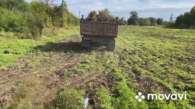 Внесение удобрения «Навоз» смотреть онлайн