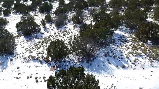 DJI Phantom 3 Advanced Critical Battery Warning and Crash смотреть онлайн