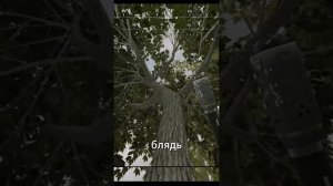 СТАЛКРАФТХ STALCRAFTX  #memes #stalcraftx #action #gaming #сталкрафт