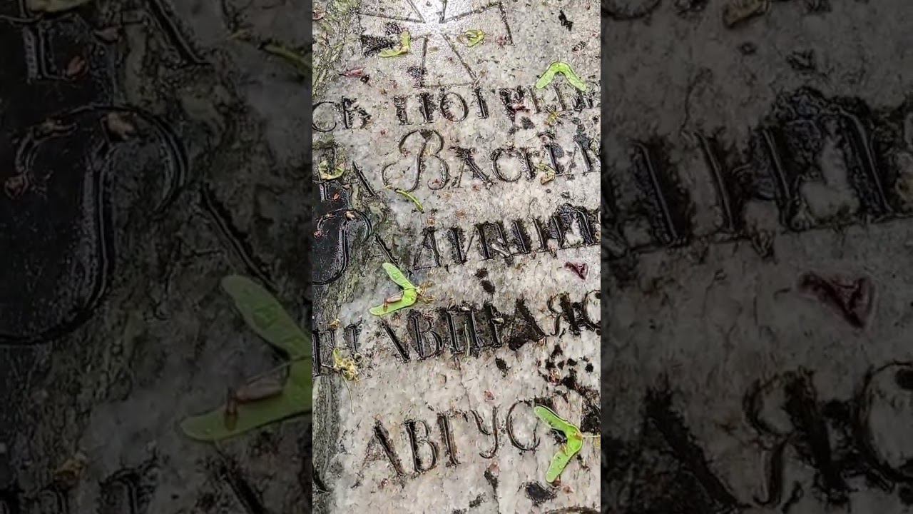 Байки из склепа. Первая жена Радищева. Умерла при родах. Лазаревское кладбище Лавры. Санкт-Петербург смотреть онлайн