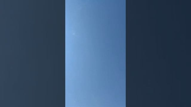 Николаевский голуби Узбекистан Джизак, Галляаралский район. смотреть онлайн