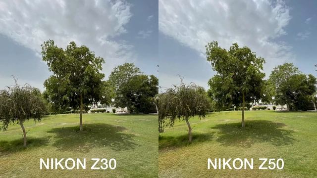 Nikon Z30 vs Nikon Z50 Camera Test смотреть онлайн