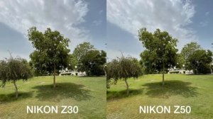 Nikon Z30 vs Nikon Z50 Camera Test